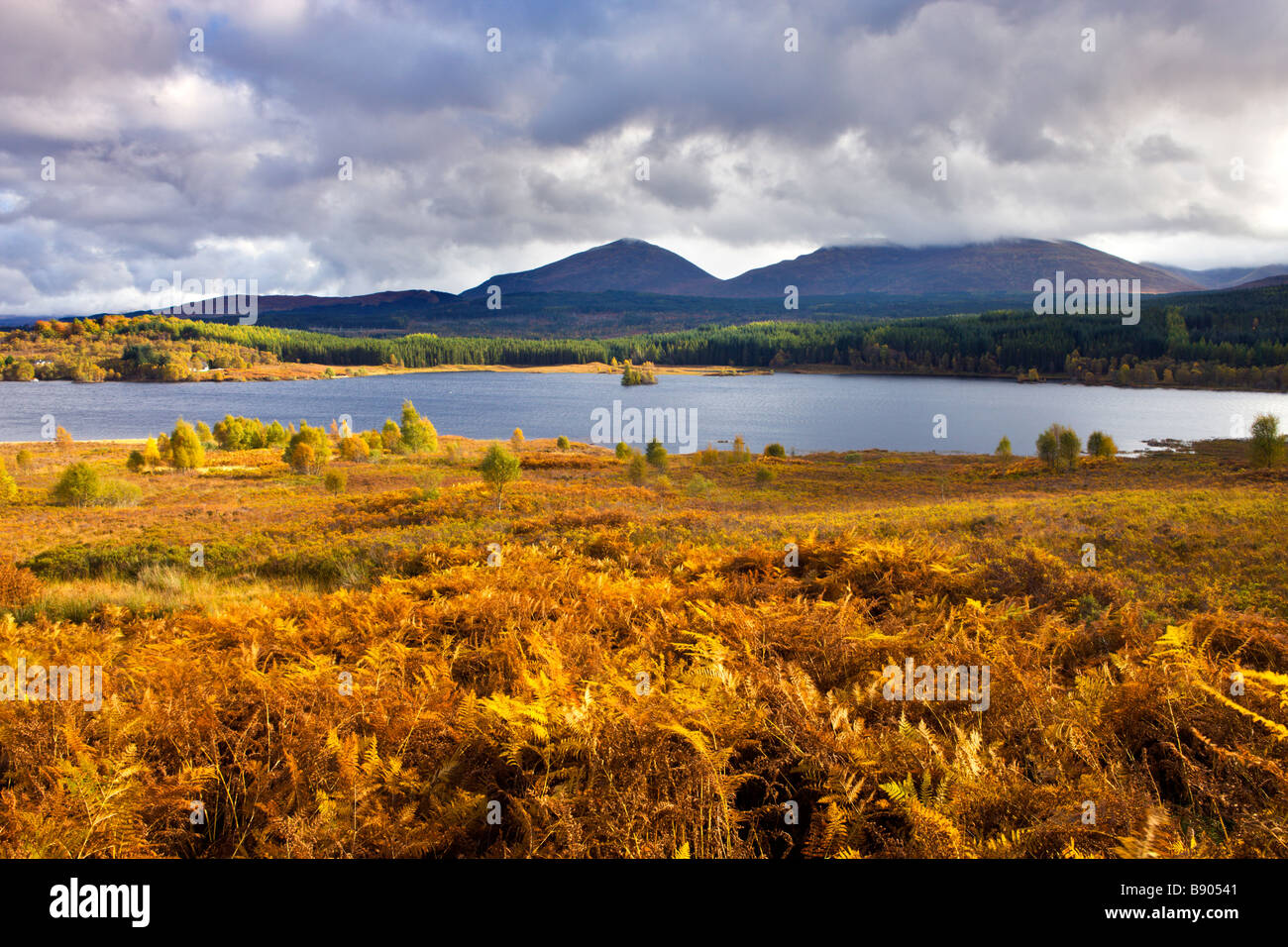 Couleurs d'automne entourent Loch Garry dans les Highlands en Écosse Banque D'Images