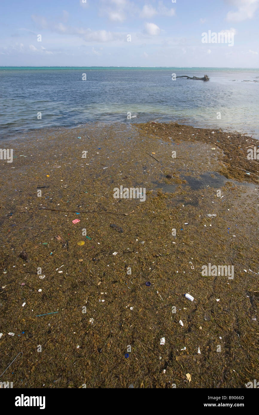 La propreté du vent sur la côte d'Ambergris Caye au Belize. Banque D'Images