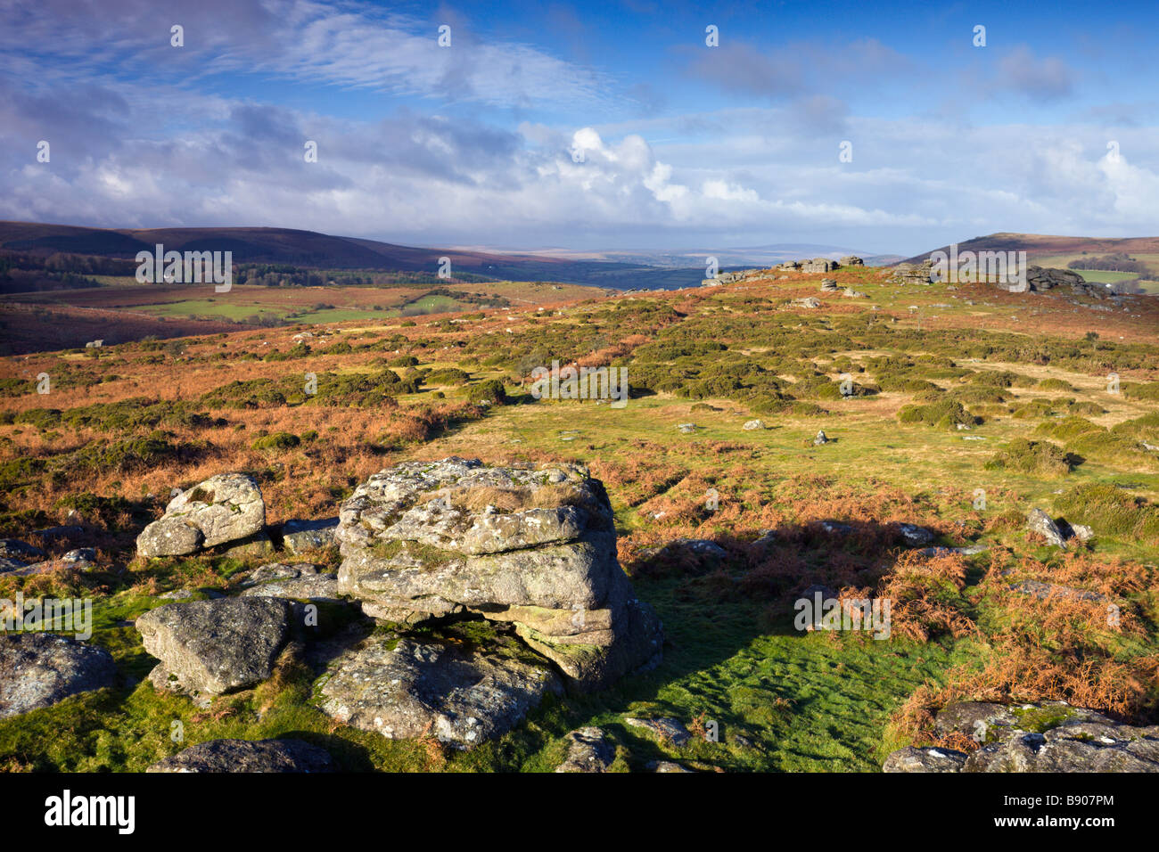 Les rochers de granit sur Hayne bas Dartmoor National Park Devon, Angleterre Banque D'Images
