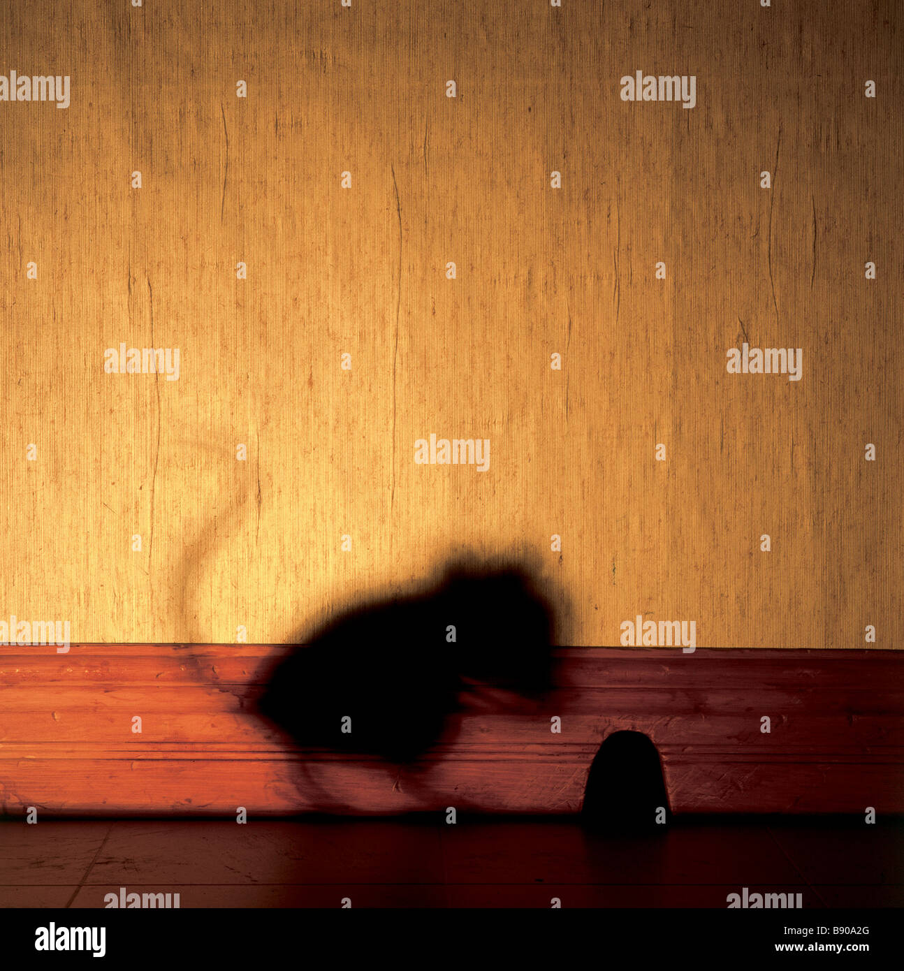 FL0760, R ; Elmy, Concept, Trou de Souris Souris de l'ombre Photo Stock -  Alamy