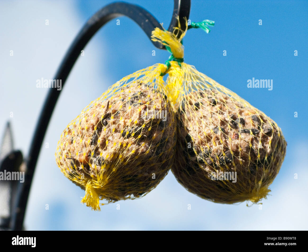 Boules de graisse utilisé comme nourriture pour oiseaux sauvages Banque D'Images