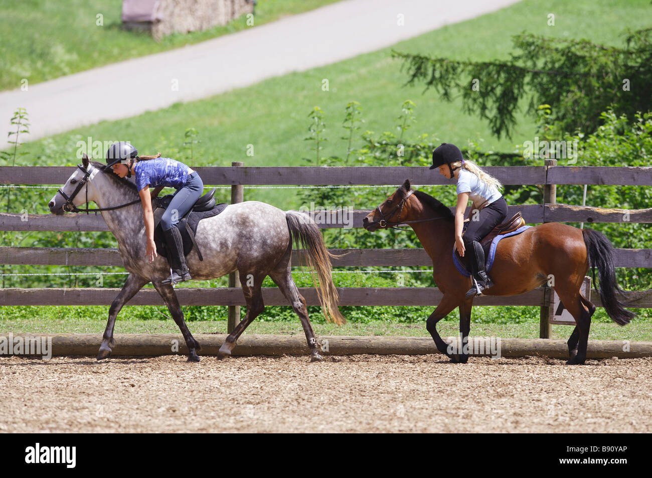Leçons d'équitation : deux jeunes filles à cheval sur British Riding Ponies Banque D'Images