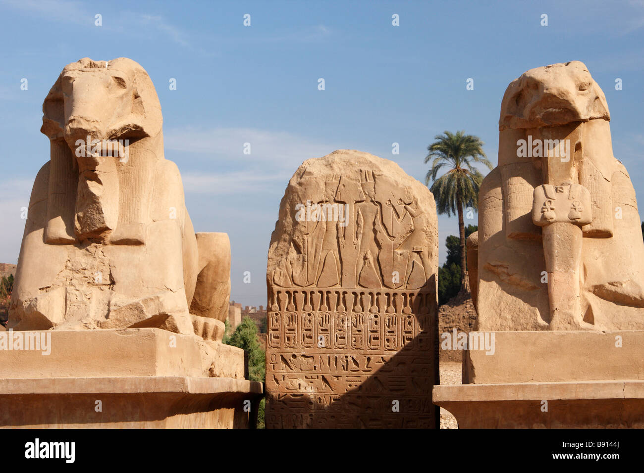 De l'Avenue [RAM] sphinx tête et hiéroglyphes égyptiens antiques inscrits sur tablette de pierre sculptée, Temple de Karnak, Louxor, Egypte Banque D'Images