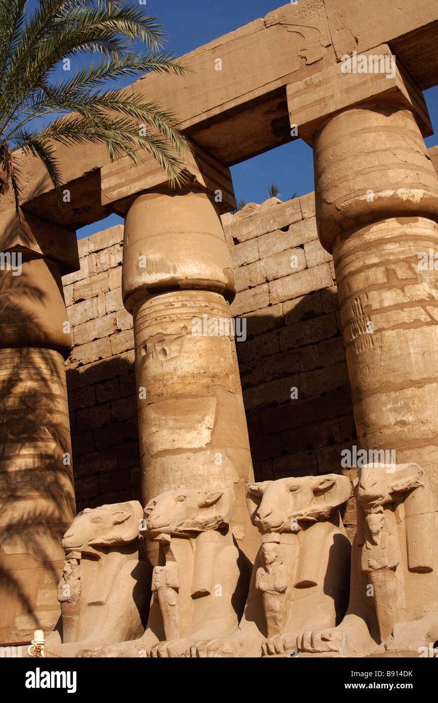 De l'Avenue [RAM] sphinx tête sculptée en pierre sous colonnade de grandes colonnes de papyrus, Temple de Karnak, Louxor, Egypte Banque D'Images