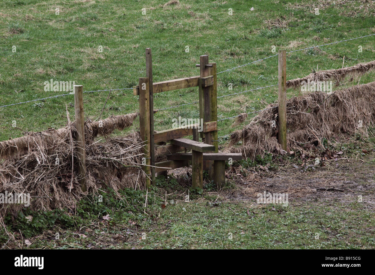 Fil de fer barbelé clôture du bétail, Norfolk, Angleterre, Royaume