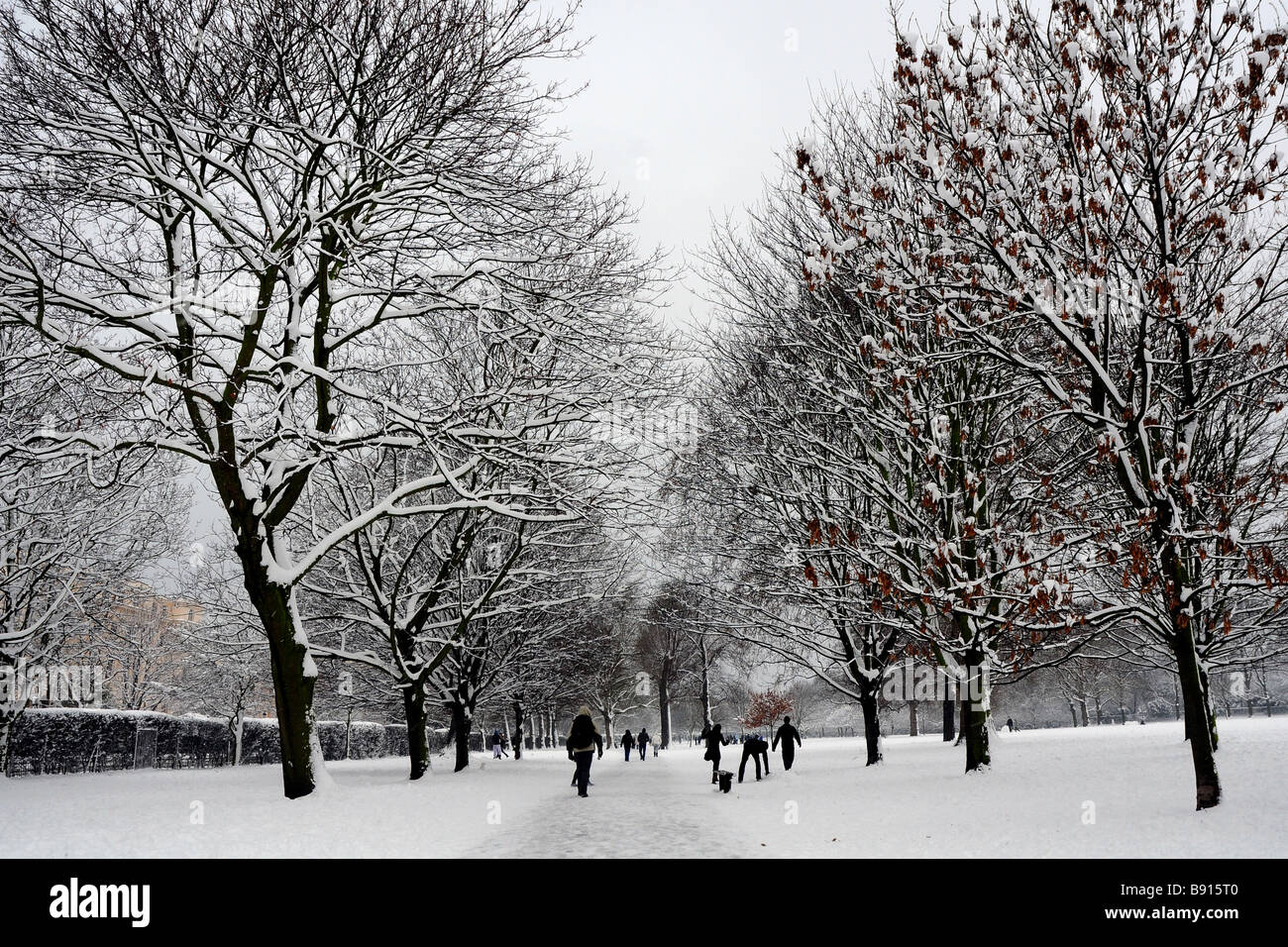 Neige dans Regents Park à Londres. Banque D'Images