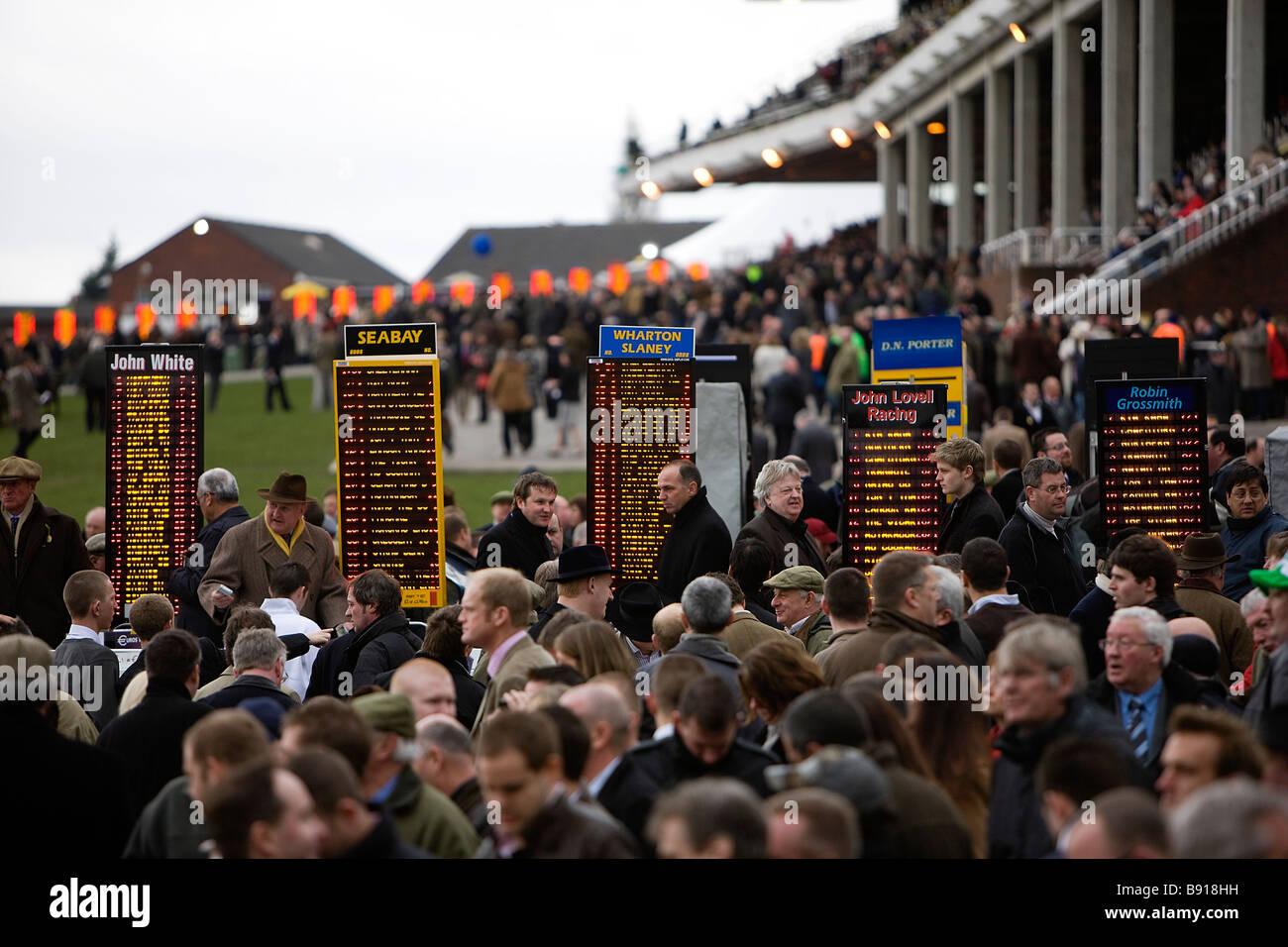 Conseils paris sportifs électroniques illuminent les cotes des courses au Cheltenham Festival Banque D'Images
