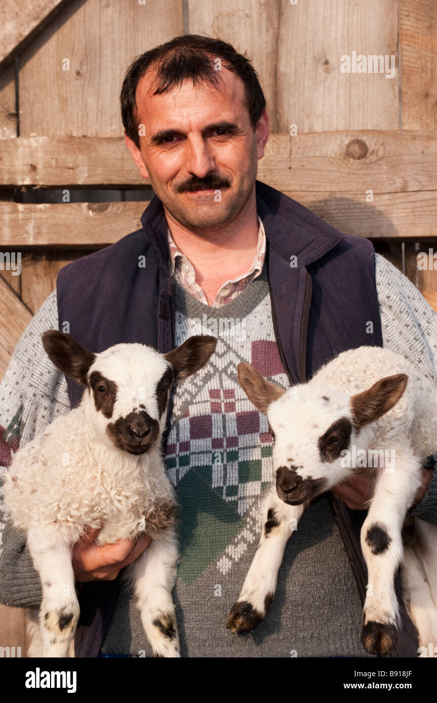 Farmer holding roumain une paire de jeunes agneaux Banque D'Images