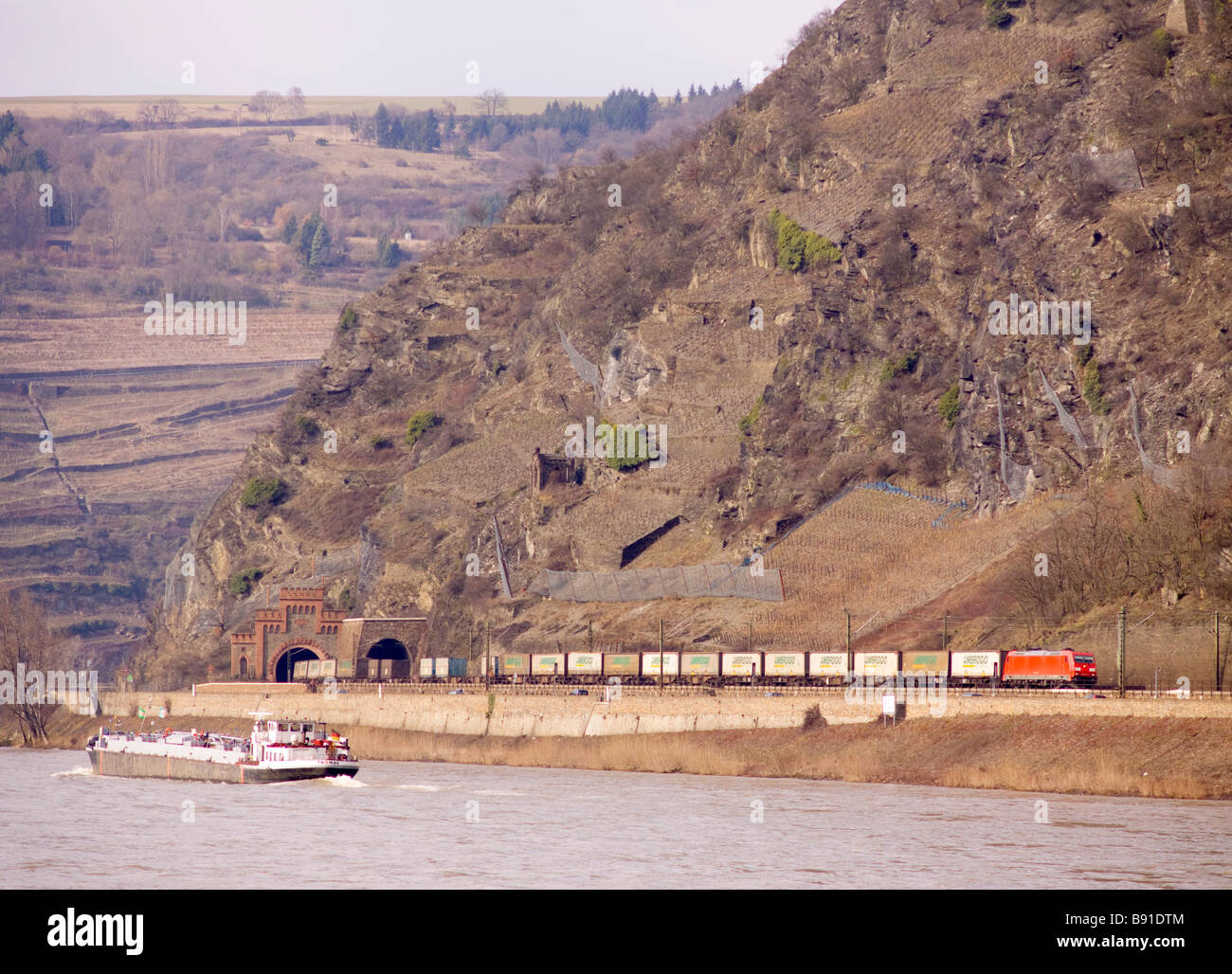La classe DB 185 locomotive électrique No 185 313-4 avec un transport intermodal de marchandises longeant les rives du Rhin près de Kaub Banque D'Images