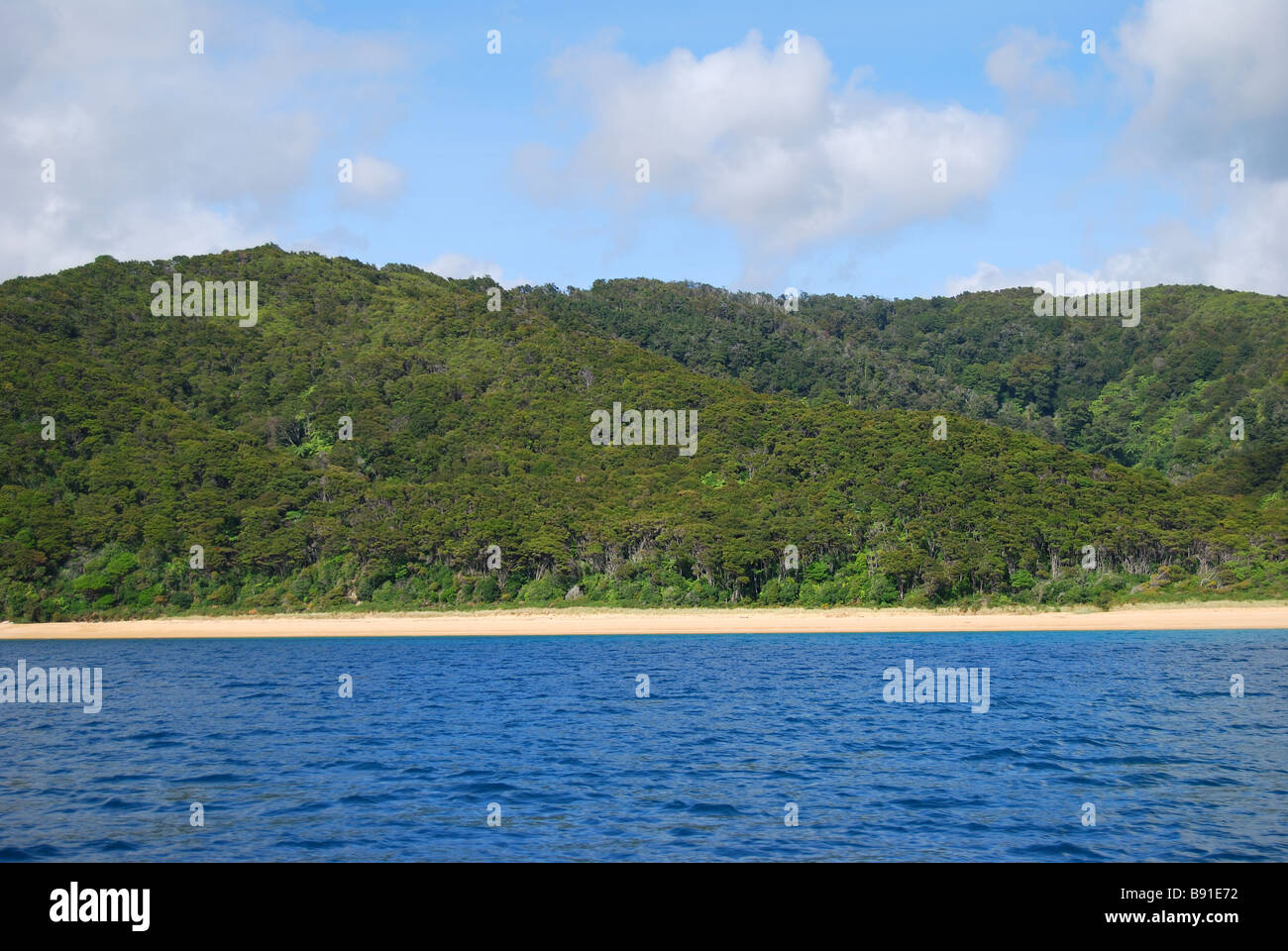 Parc national Abel Tasman, Tasman, île du Sud, Nouvelle-Zélande Banque D'Images