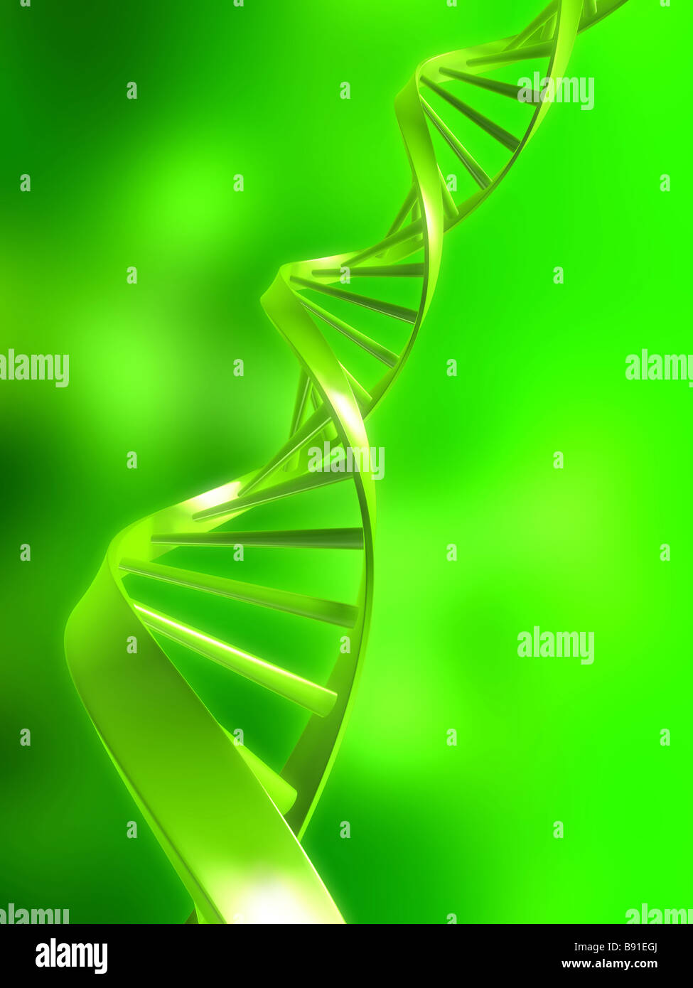 modèle de l’ADN Banque D'Images