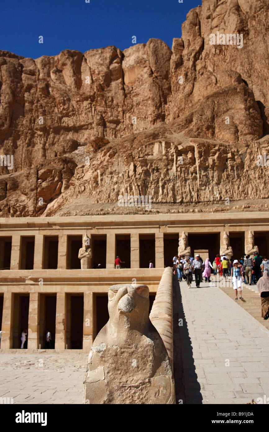 Statue du dieu faucon Horus à rampe d'entrée de temple funéraire de la reine Hatshepsout, 'Drie el-Bahri", "West Bank", Luxor, Egypte Banque D'Images
