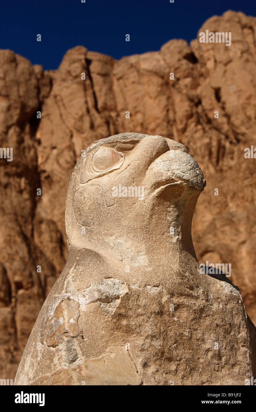 Statue du dieu faucon Horus, Close up, temple funéraire de la reine Hatshepsout, 'Drie el-Bahri", "West Bank", Luxor, Egypte Banque D'Images