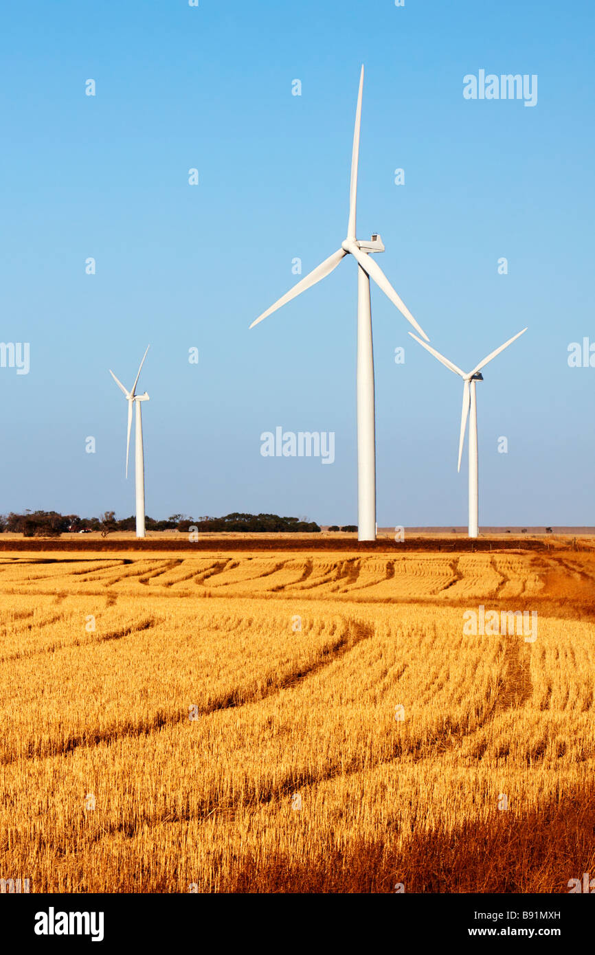 Edithburgh Wind Farm Banque D'Images