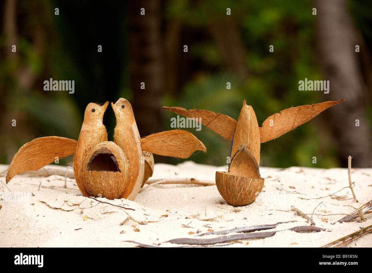 Mangeoire pour oiseaux à la main à partir de la noix de coco, de la Barbade, "West Indies" Banque D'Images