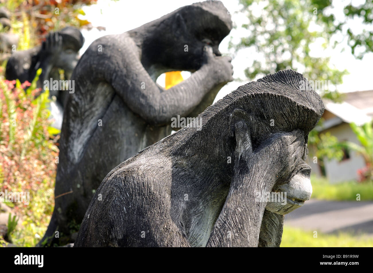 Indonésie Bali jatiluwih Banque D'Images