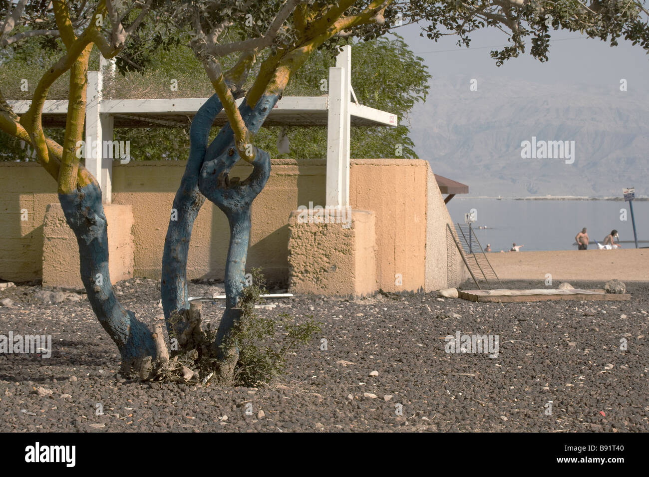 Tronc de l'arbre peint en jaune et bleu, les touristes en arrière-plan, la Mer Morte, Israël Banque D'Images