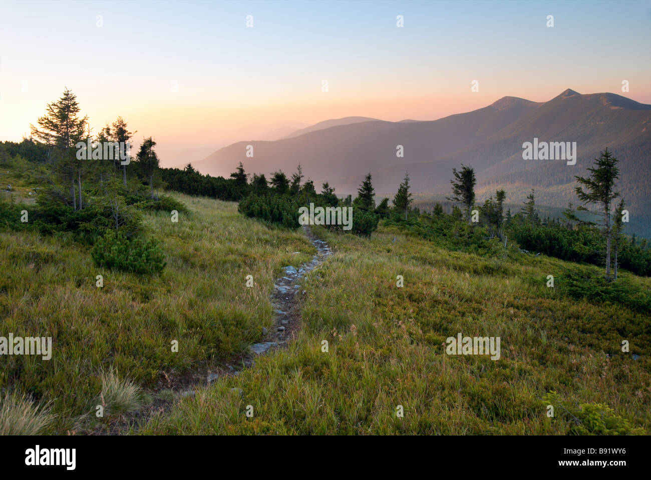 Carpates (Ukraine) Paysage au coucher du soleil. Banque D'Images