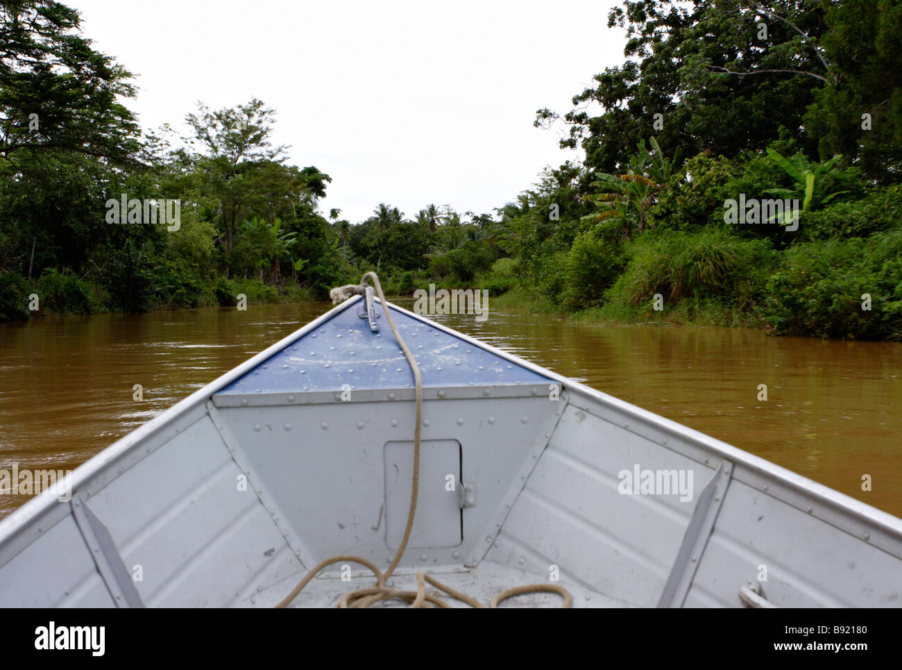 En bateau à travers les mangroves Bahia Canavieiras Brésil Amérique du Sud Banque D'Images