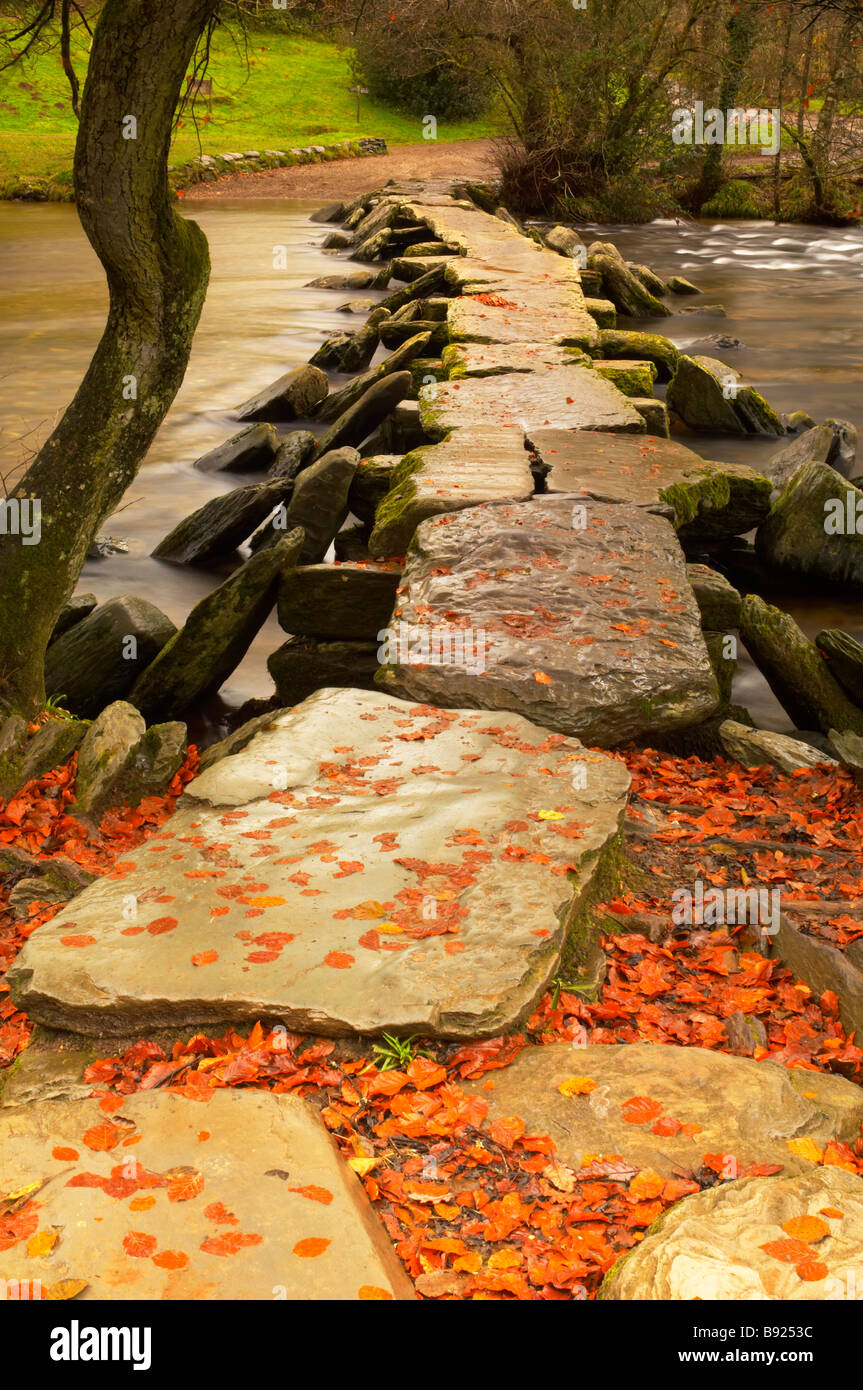 L'automne sur la rivière Barle à Tarr étapes sur Somerset Exmoor UK Banque D'Images