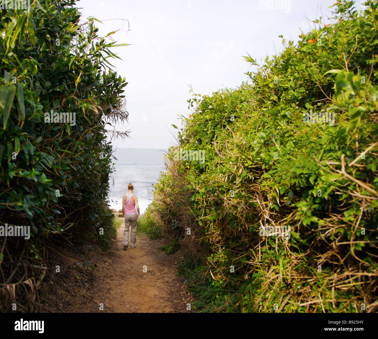 Vue arrière d'une femme à pied jusqu'à la plage St Lucia La province du KwaZulu Natal Afrique du Sud Banque D'Images