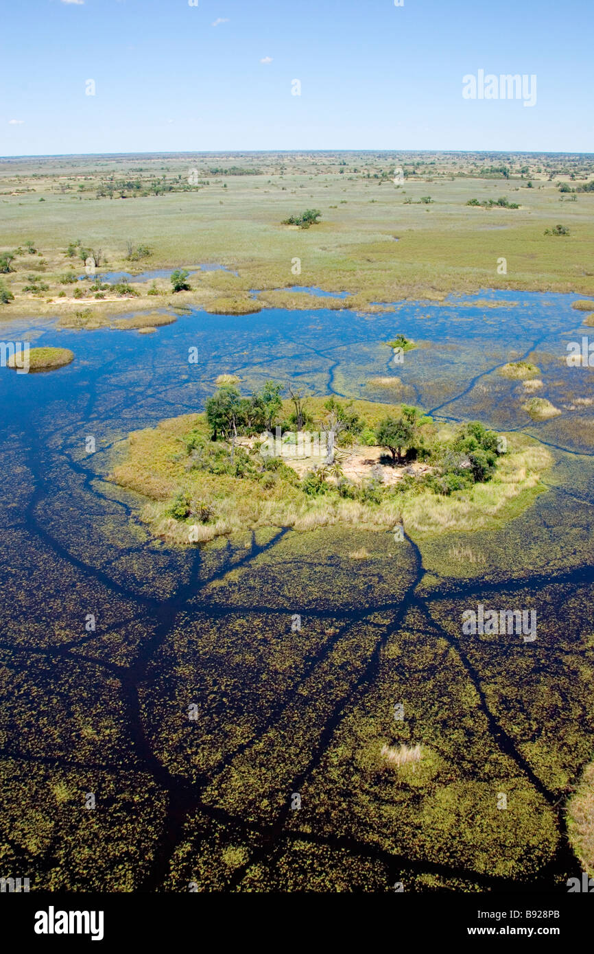 Petite Île à Delta Delta de l'Okavango au Botswana Banque D'Images