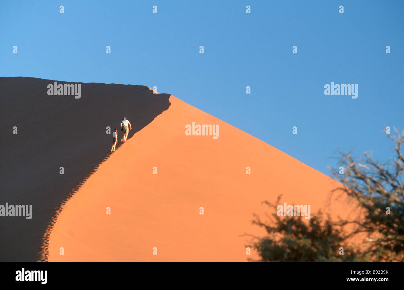 Les touristes l'ascension d'une dune de sable dans le désert du Namib Namibie Sossosvlei Banque D'Images