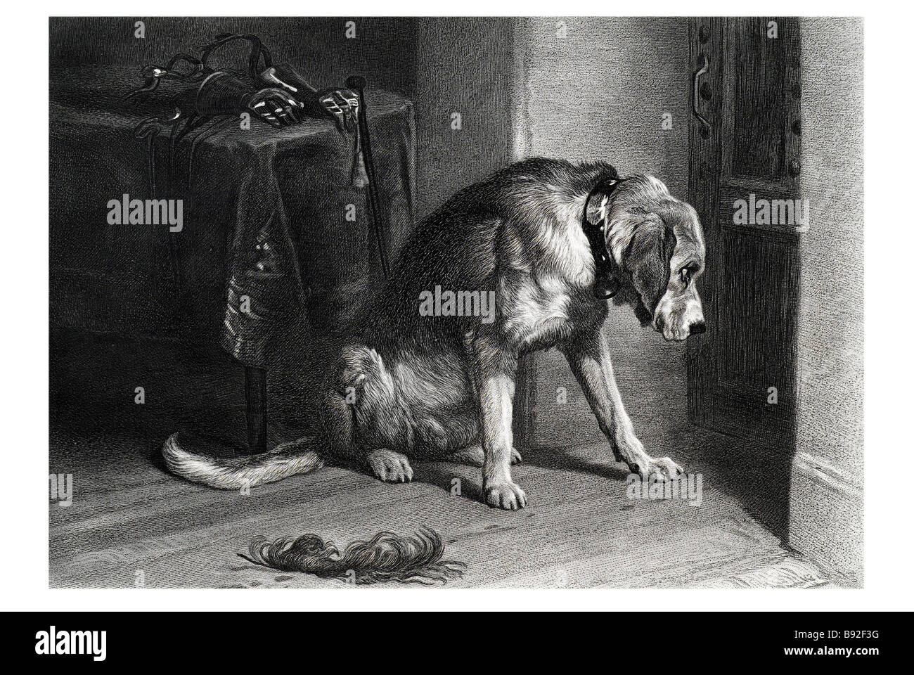 L'ami en suspence Terre-neuve chien émotion Hound Sir Edwin Landseer peintre Banque D'Images