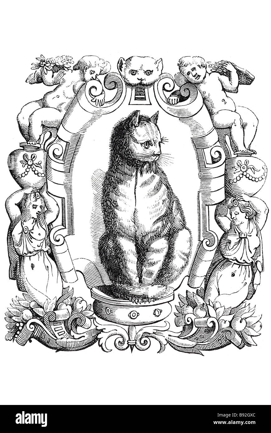 Chat félin assis grimalkin est assis sur son trône le monarque Sessa a été une importante famille d'imprimantes actives dans Venice Banque D'Images
