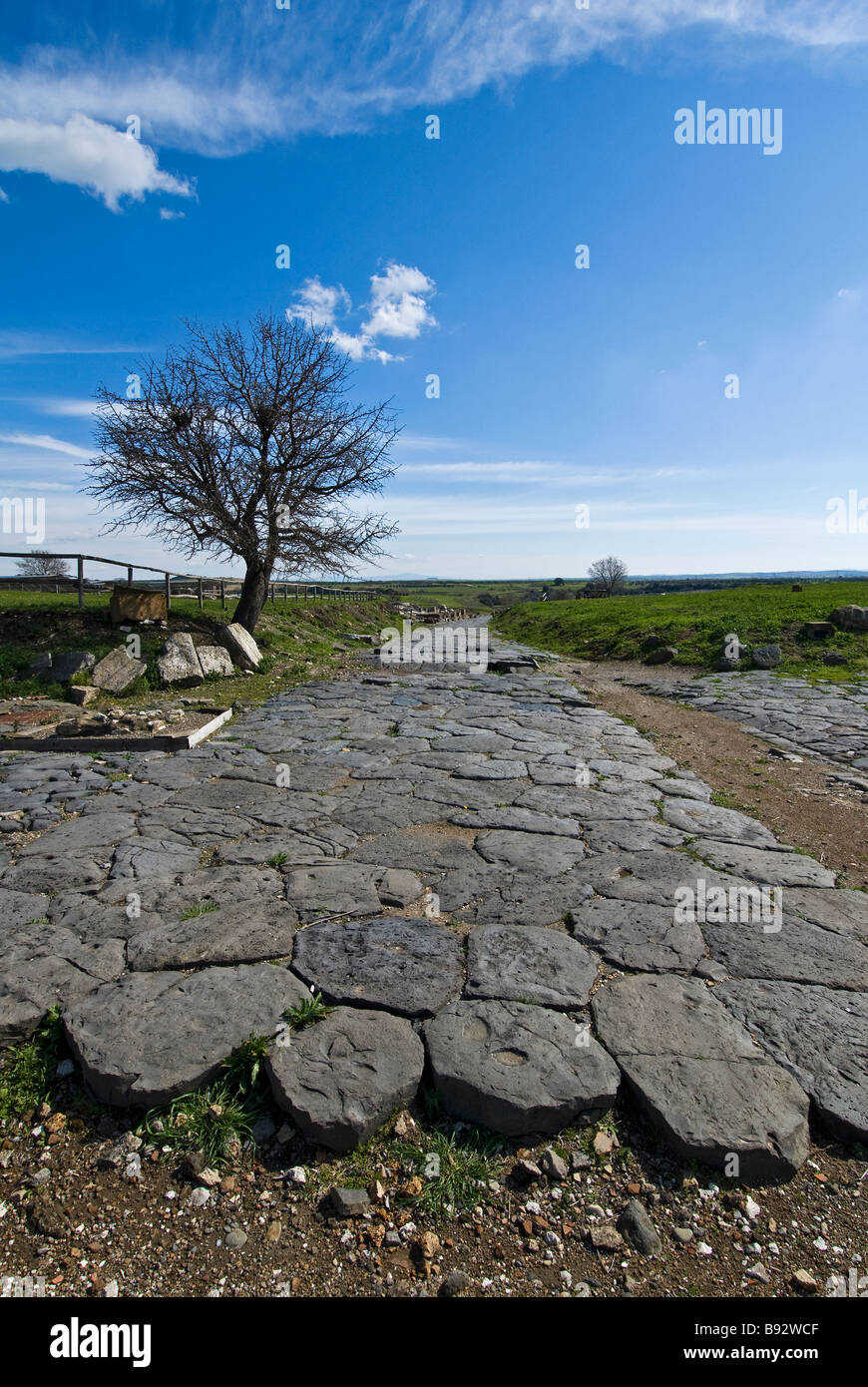 Site archéologique de la ville étrusque de Vulci en Latium en Italie Banque D'Images