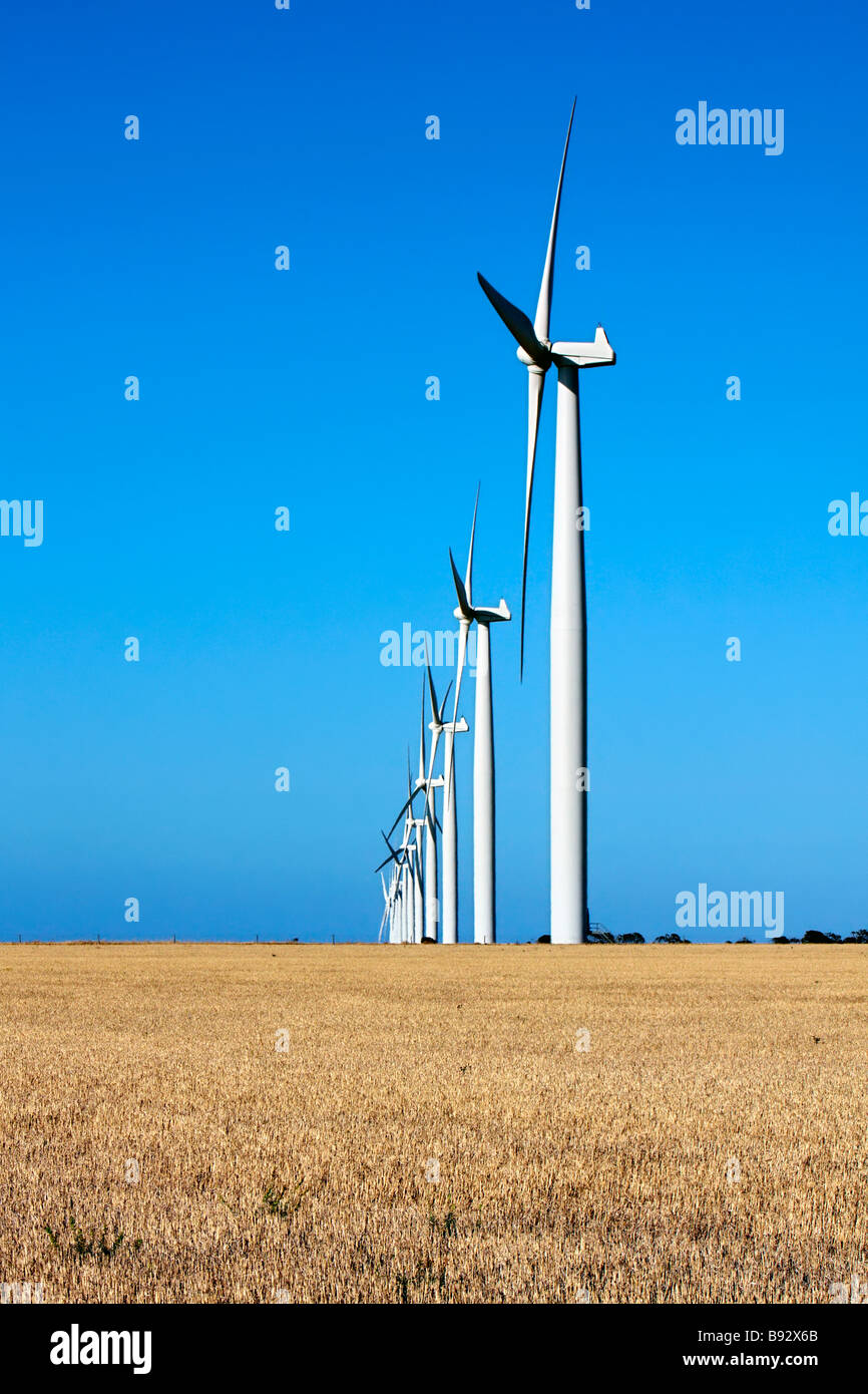 Edithburgh Wind Farm Banque D'Images