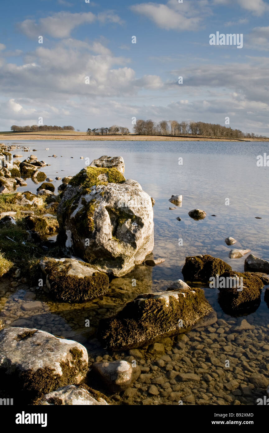 Une vue de l'Malham Tarn. Banque D'Images