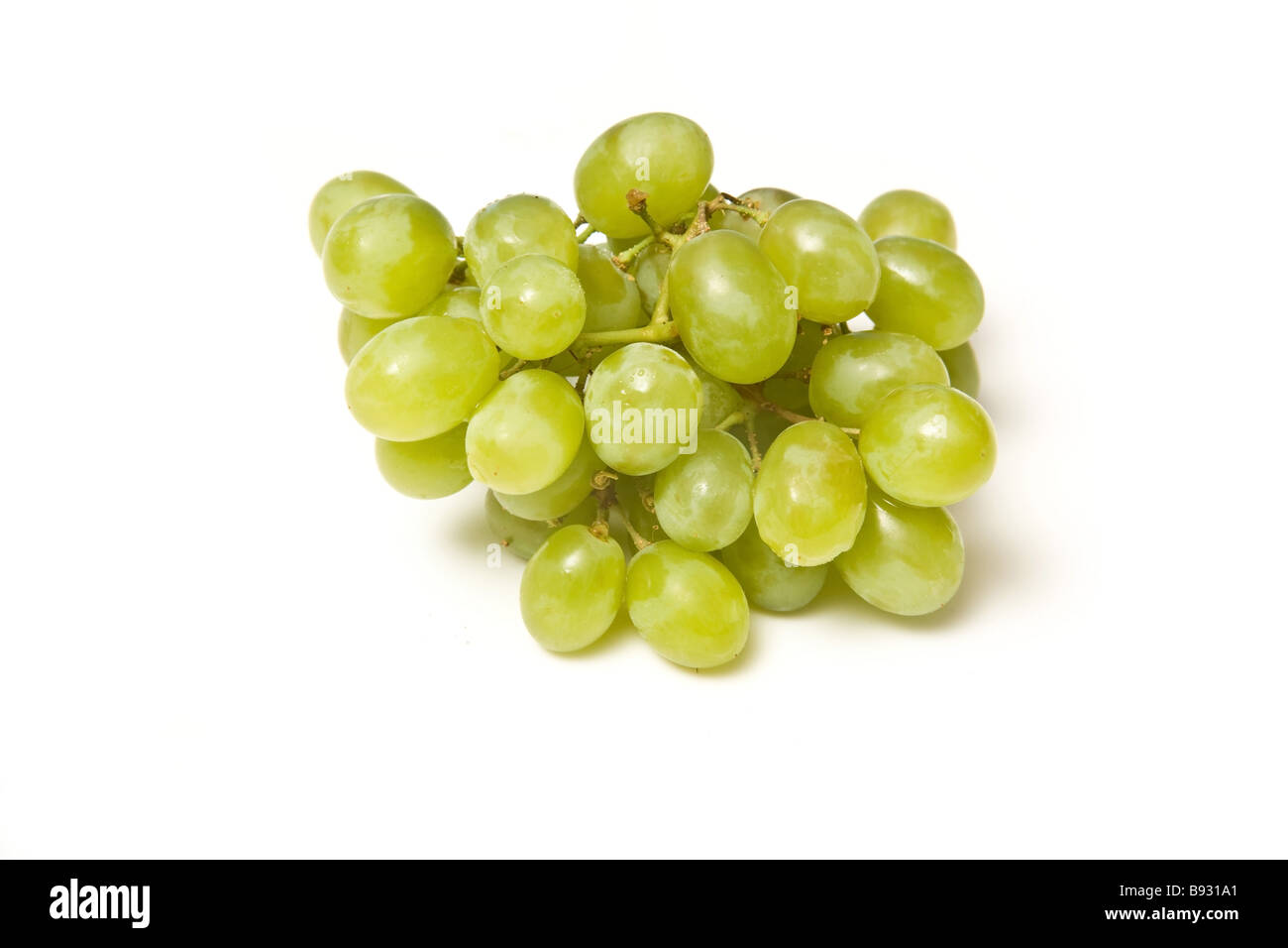 Grappe de raisins isolated on a white background studio Banque D'Images