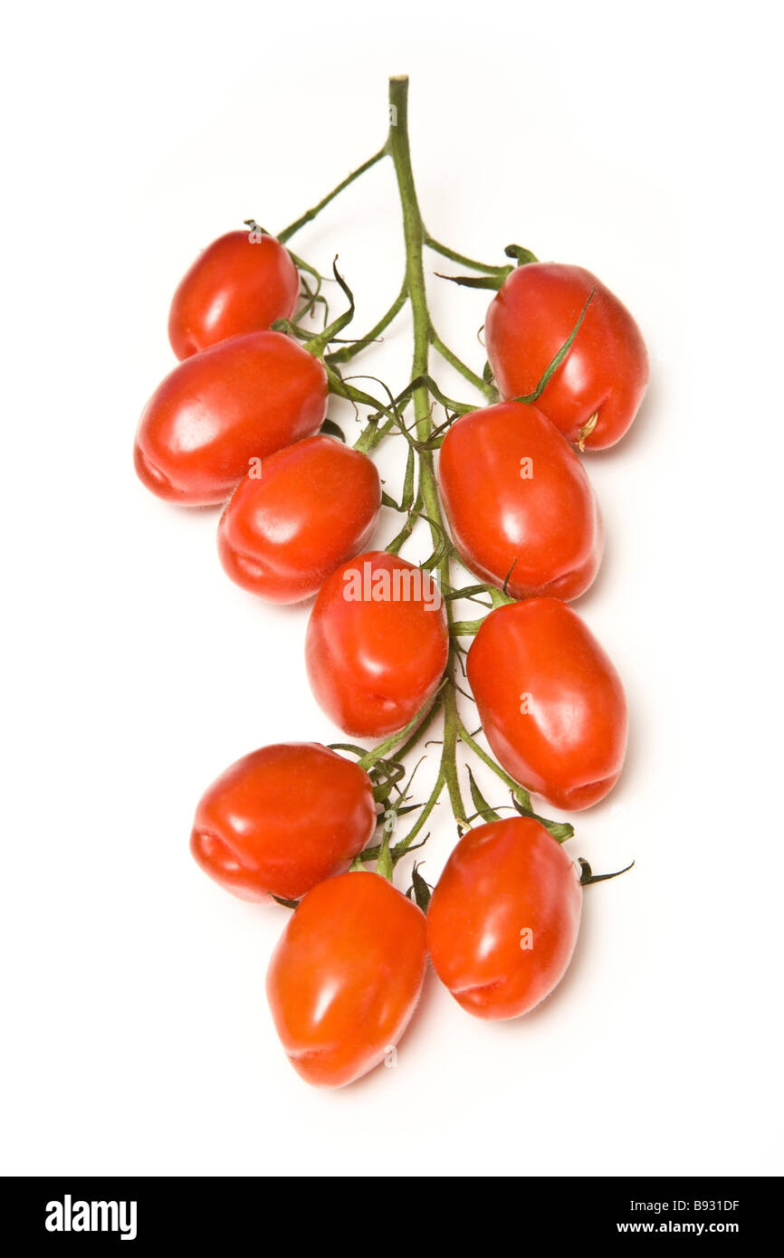 Tomates en Marzinino italien isolated on a white background studio Banque D'Images