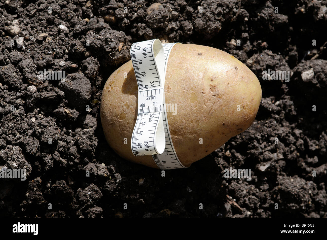 Pomme de terre avec un ruban à mesurer Photo Stock - Alamy