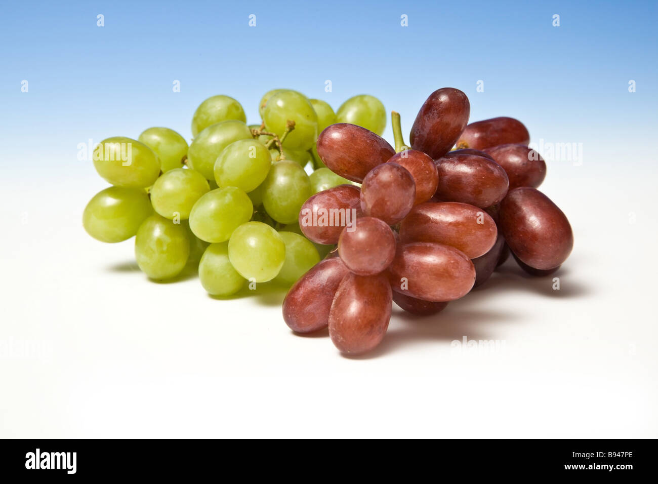Raisins sur un fond de studio bleu dégradé. Banque D'Images Raisins sur un fond de studio bleu dégradé. Banque D'Images