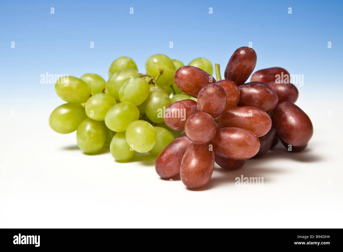 Raisins sur un fond de studio bleu dégradé. Banque D'Images Raisins sur un fond de studio bleu dégradé. Banque D'Images