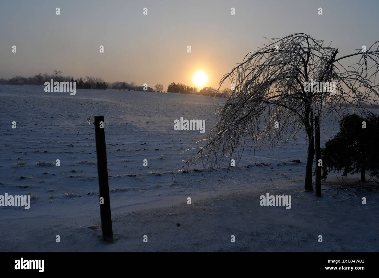 Lever du soleil sur une ferme dans le midwest des États-Unis après une tempête de glace Banque D'Images