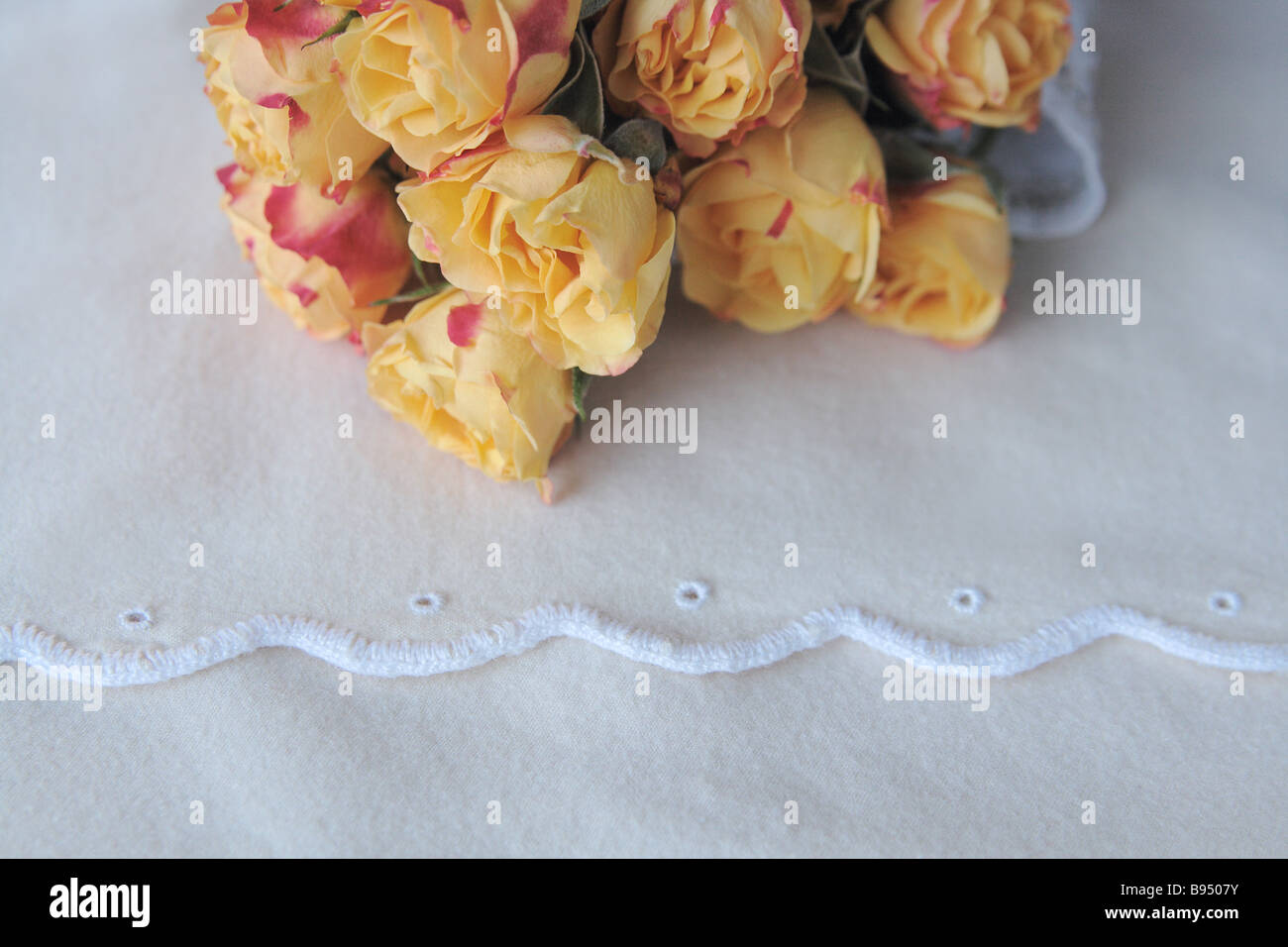 Roses jaunes miniatures sur un tissu beige avec bordure festonnée Banque D'Images