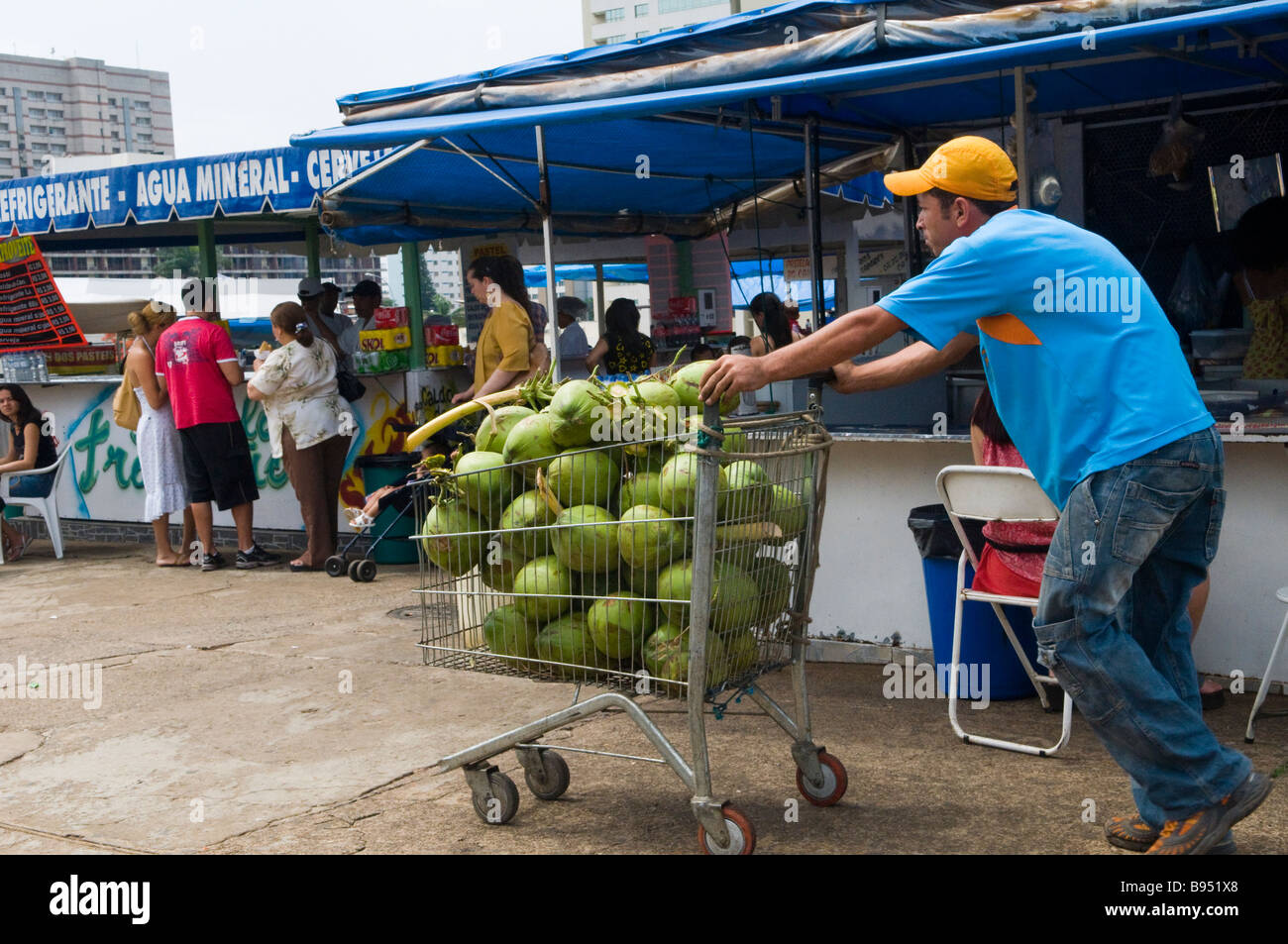 Coco froid pour la vente dans le marché du week-end coloré près de la tour de télévision de Brasilia, Brésil. Banque D'Images