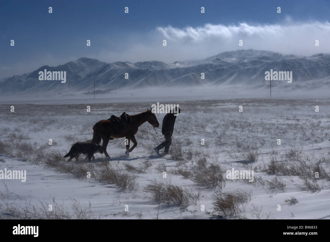 Une tempête de neige d'hiver dans la steppe du Kazakhstan Banque D'Images