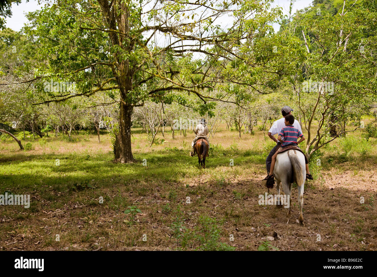 L'équitation à travers le désert de la péninsule d'Osa dans le sud du Costa Rica. Banque D'Images