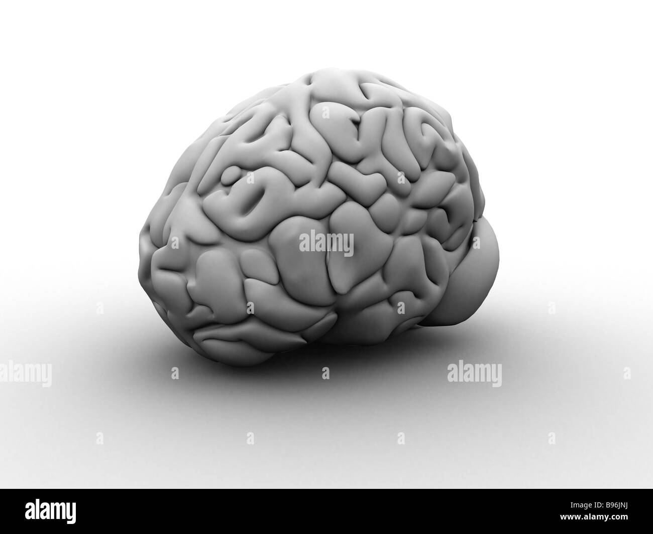 cerveau humain Banque D'Images
