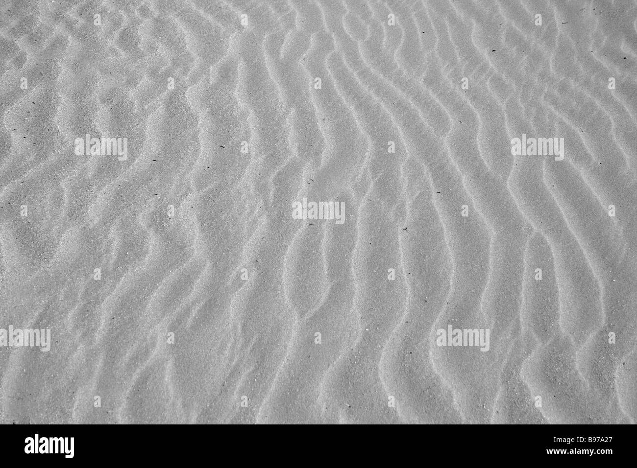 Plage avec sable mou, ridée de texture effet soulevée par le vent Banque D'Images