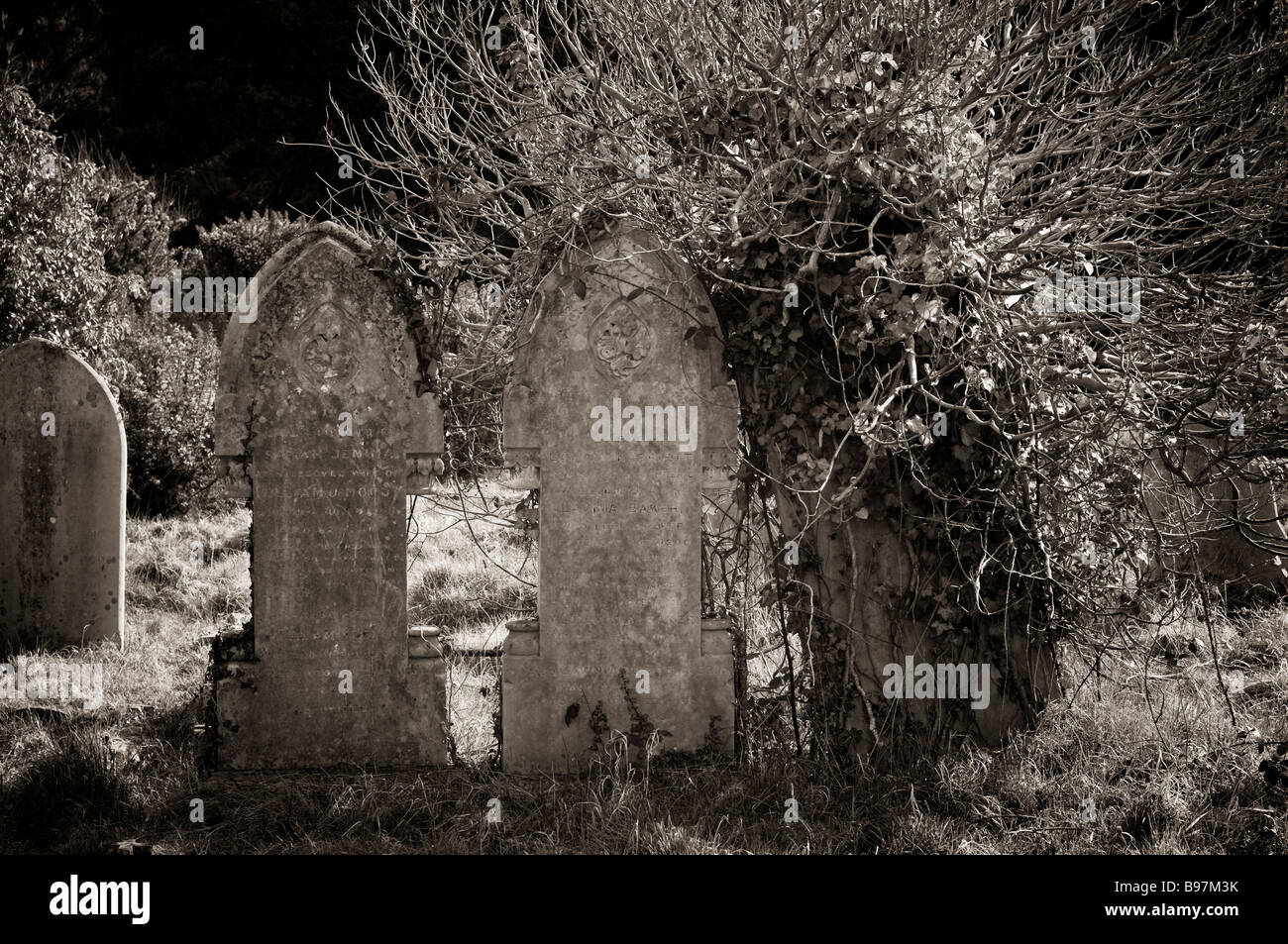 Vieux cimetière Southampton est situé sur la commune de Southampton Banque D'Images