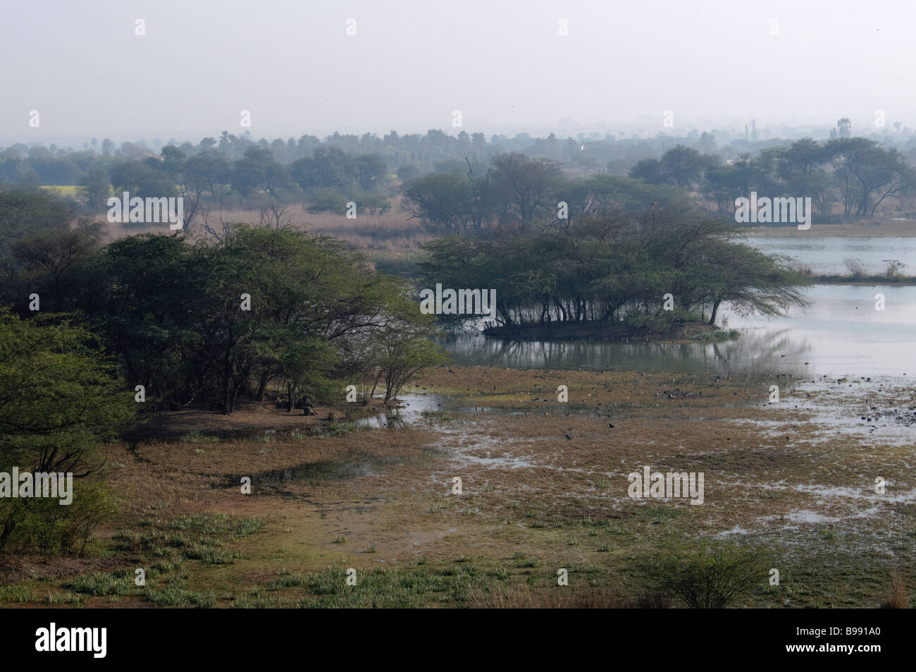 A la vue des zones humides de Sultanpur Bird Sanctuary Inde Banque D'Images