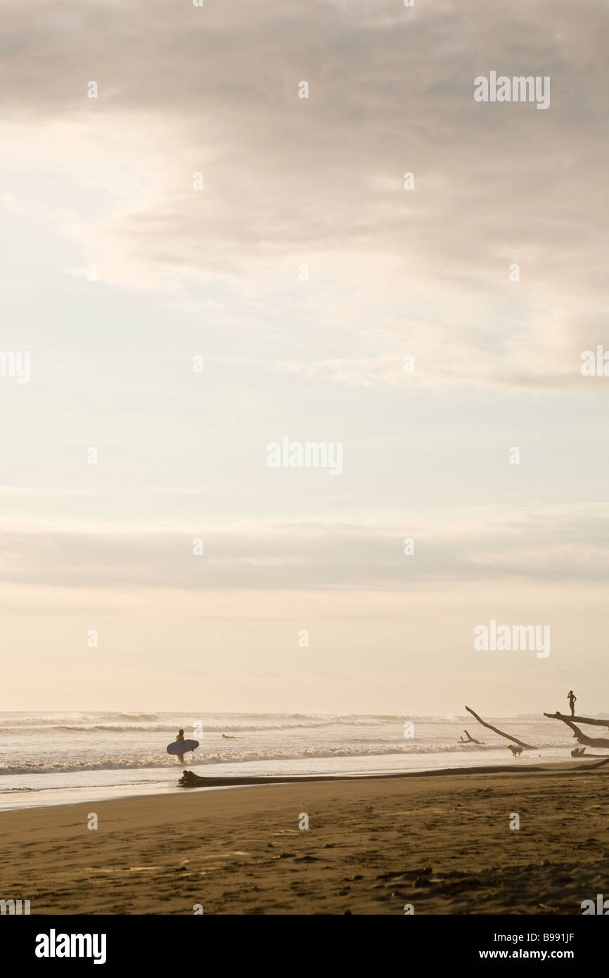 Surfer au bord de l'océan avec femme regardant d'une grande formation de bois flotté sur la plage à dominical, Costa Rica. Banque D'Images