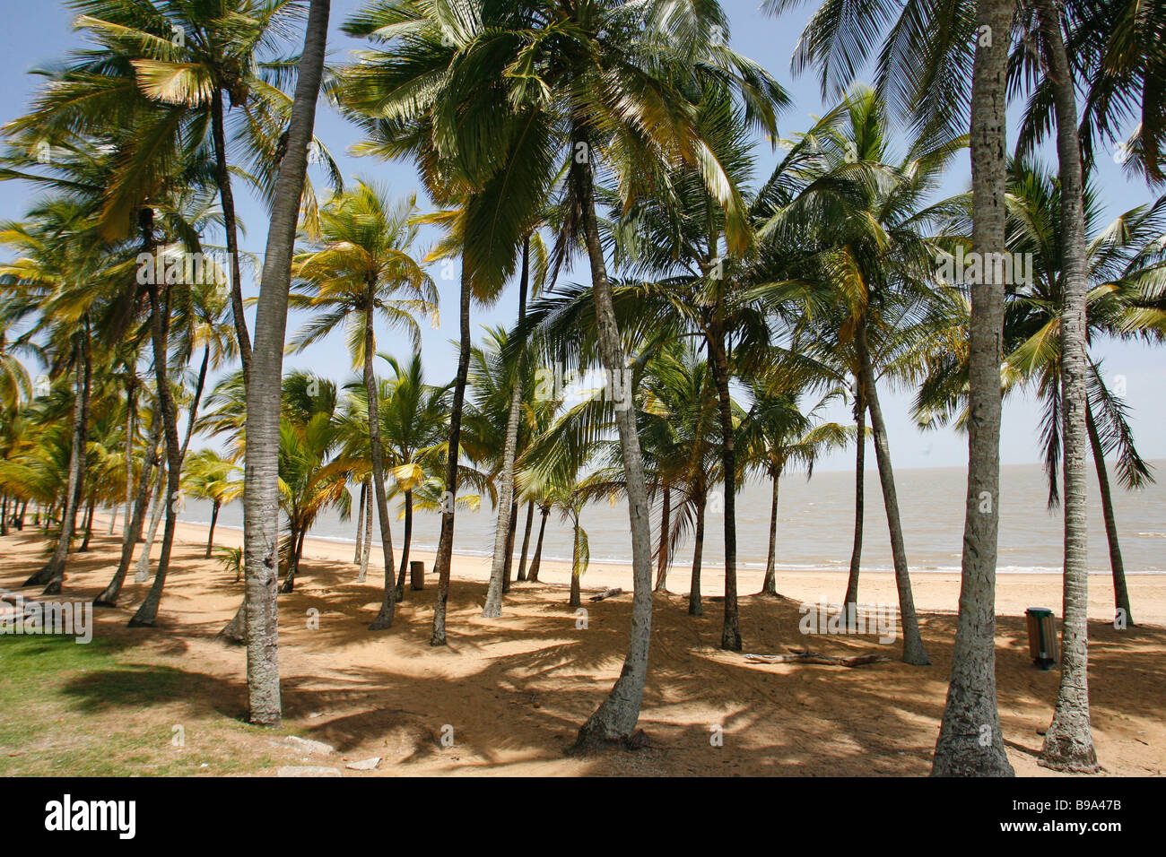 Une Plage à Cayenne En Guyane Française Du Site Du Centre