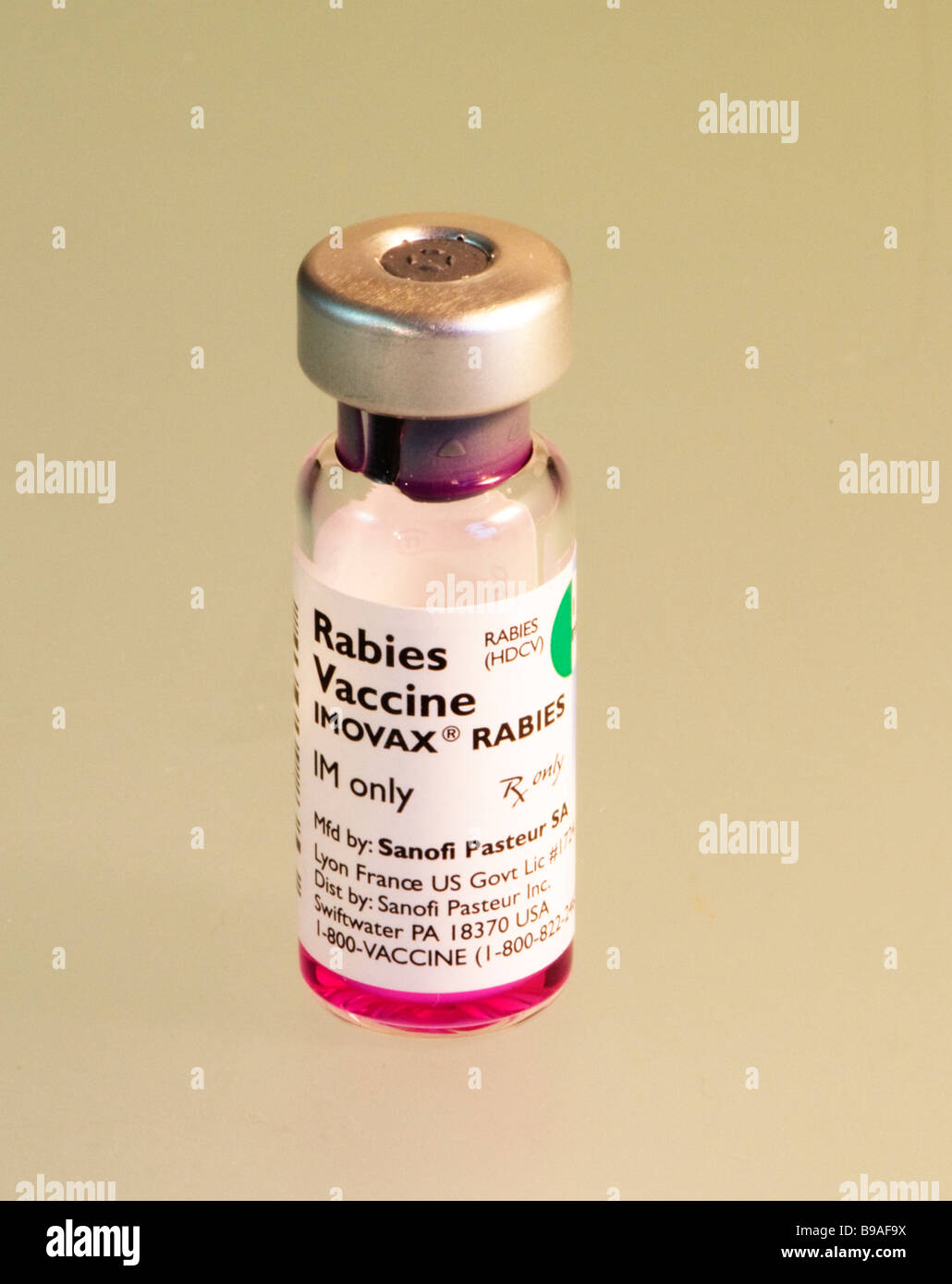 Rage Injection Vaccin antirabique Banque de photographies et d’images à haute ...