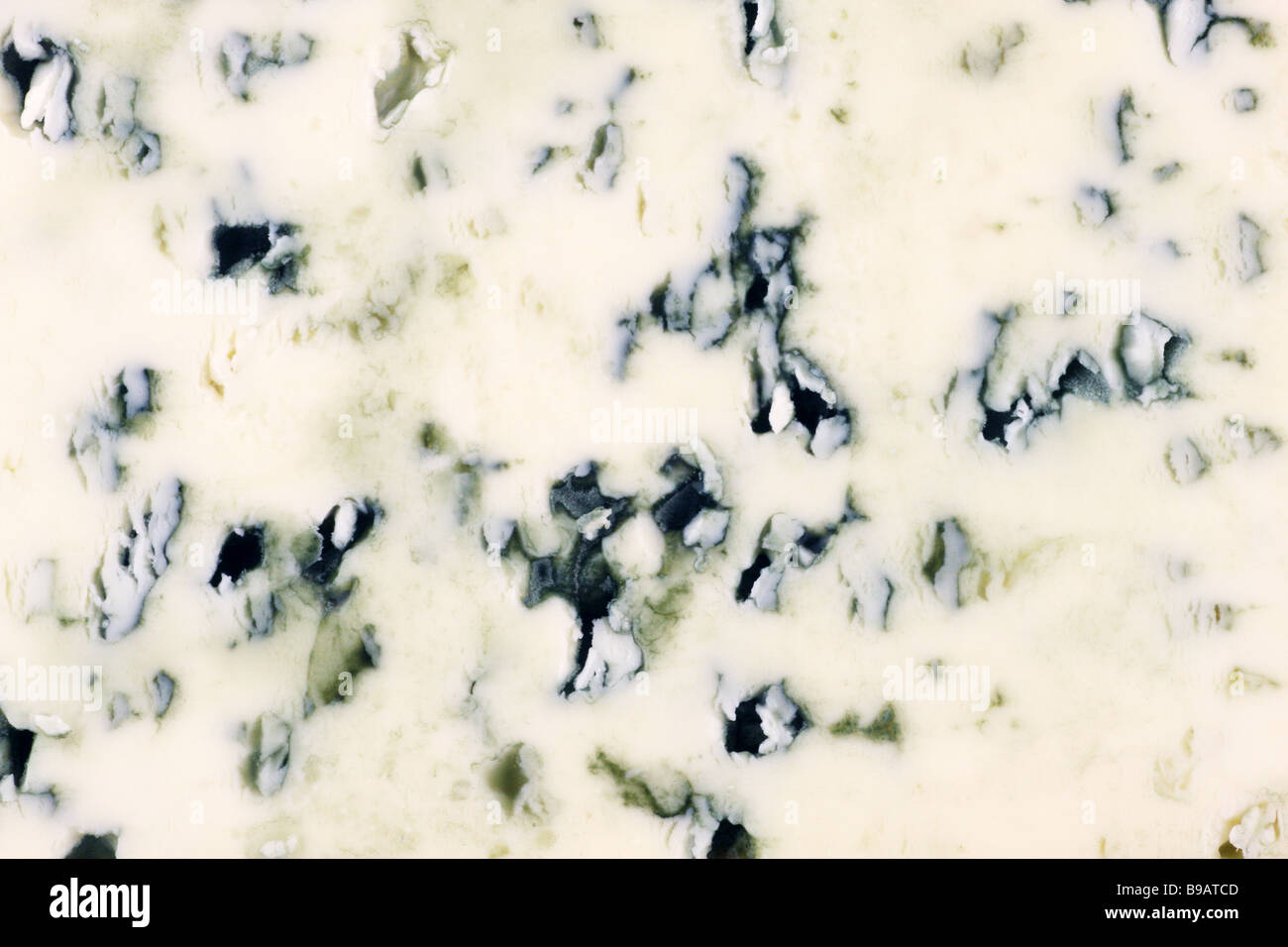 Le fromage du moule bleue close up Banque D'Images